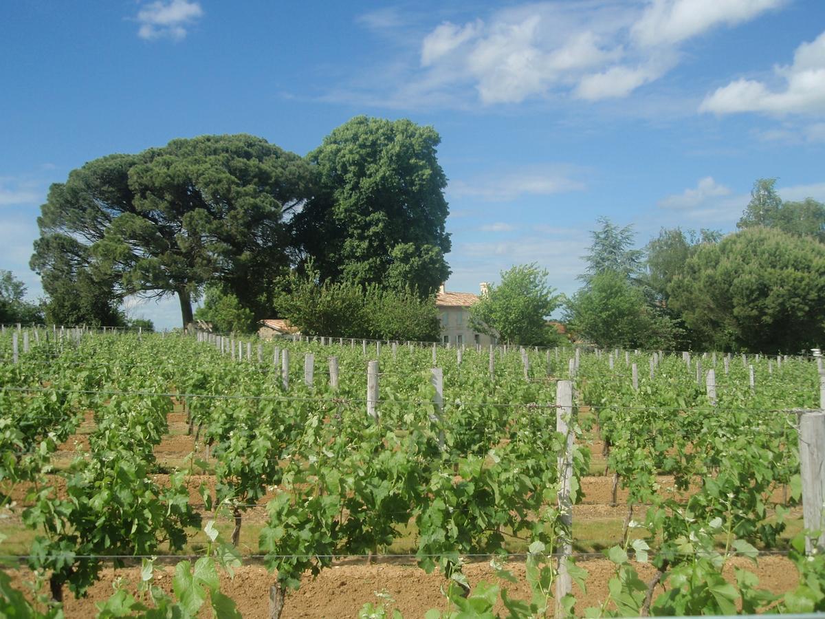 Domaine Mongiron 호텔 Nérigean 외부 사진